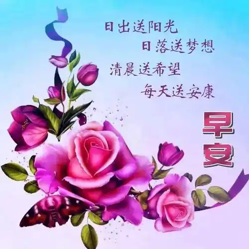 今日祝福早上好图片,最美微信早上好问候语_生活_命运_时候