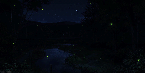 抖音萤火虫表情包动图