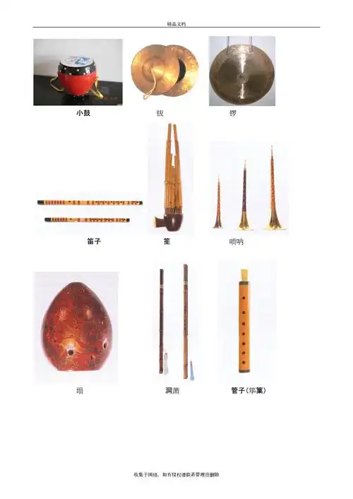常见乐器名称 乐器图片教学内容.doc