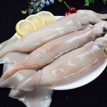 雨林食味冻货整只大鱿鱼火箭鱿鱼鲜鱿鱼新鲜冷冻鱿鱼鱿鱼须 大鱿鱼10