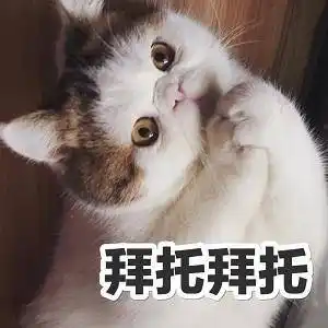 胖猫咪表情包:这不是胖,这是幸福肉