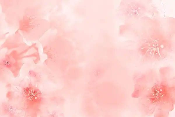 粉色梦幻唯美浪漫樱花花朵旅游美容背壁纸纹理几何线条插画