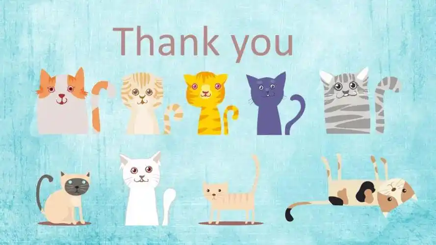 可爱动物宠物保护行业ppt模板