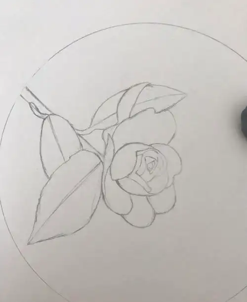 彩铅茶花 - 简书