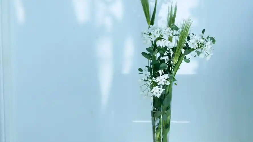 小清新家居静物简约风格桌面壁纸下载 第五辑高清大图预览1920x1080