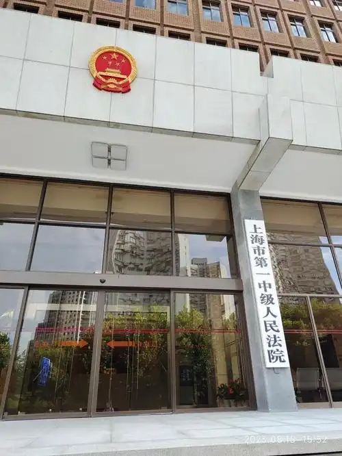 申请上海市人民检察院依法进行立案监督