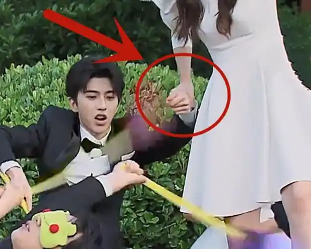 蔡徐坤和angelababy疑似一起出海游玩一名旅游博主在自己的社交账号上