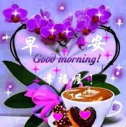 经典款玫瑰花语,早上问候图片动态图,朋友早安