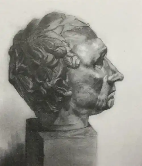 中国美术学院美术考级素描考级九级高级示范图例