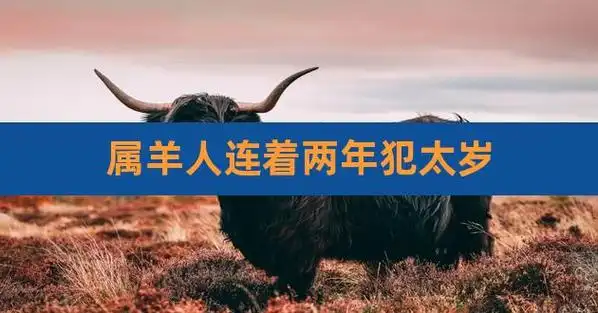 属羊人连着两年犯太岁