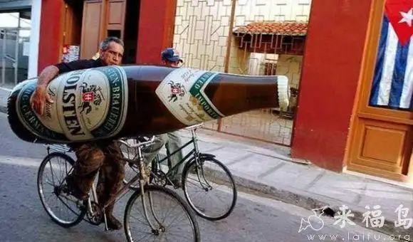 我会告诉你们我一天只喝一瓶啤酒吗 - 搞笑图片盒子