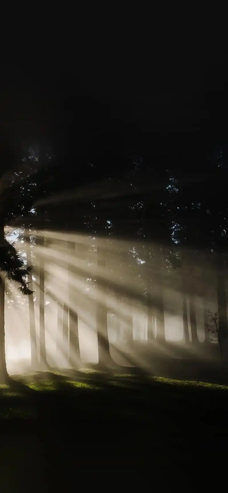 「暗黑风格壁纸」.#图文伙伴计划 1.27 黑色94系列壁纸 - 抖音