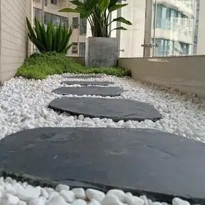 青石板路庭院花园图片