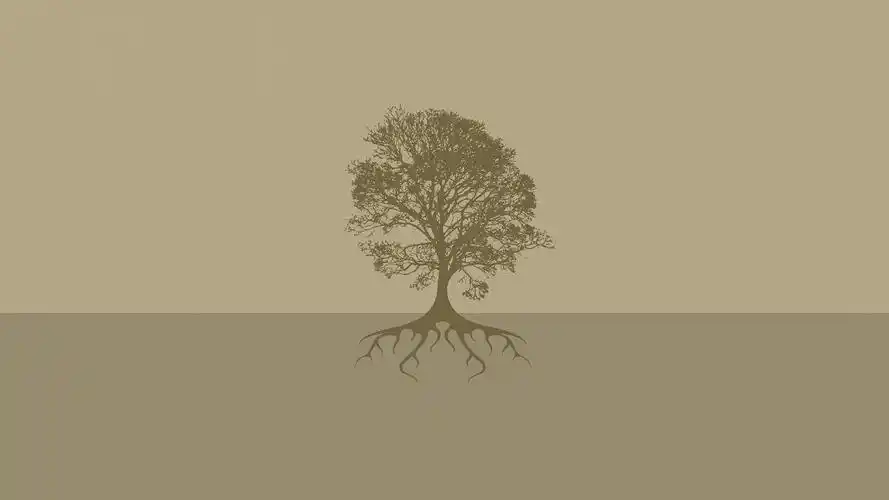 极简清新的高清宽屏桌面壁纸