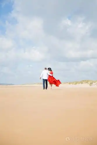 一对浪漫的年轻夫妇在海滩上拥抱的背影照片-正版商用图片13icnk-摄图