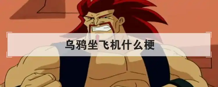 乌鸦坐飞机什么梗优质