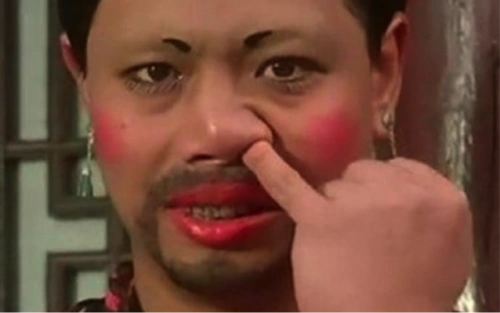 电影《唐伯虎点秋香》中靠着"回眸一笑挖鼻孔"而"惊艳四座"的"如花"