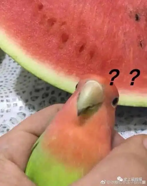 刘强东被传性侵事件之后沙雕网友们终于按捺不住开始作妖了