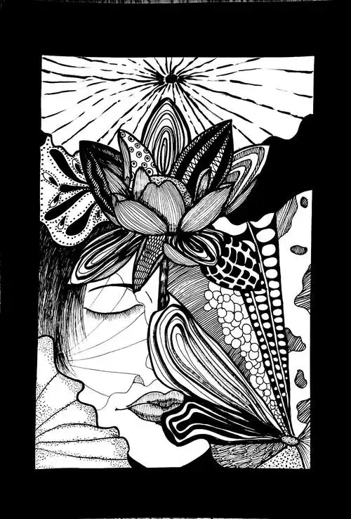 分享点线面装饰画截创意图形动物的英文字体设计趣传案例 | 王兔兔