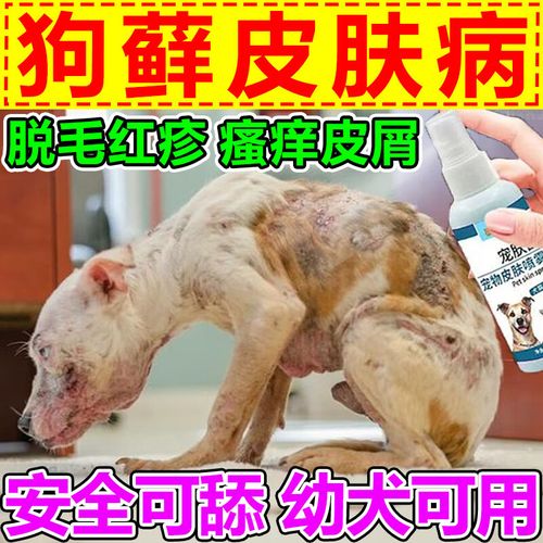 狗狗皮肤病外用宠物狗癣真菌感染脱毛螨虫皮炎狗藓宠物抑菌喷剂 1瓶装