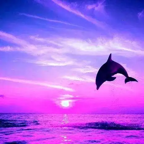 头像适合女人唯美微信头像