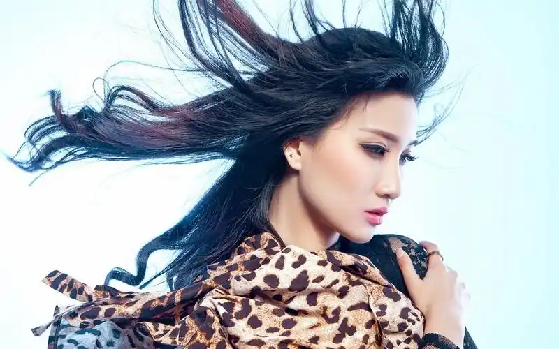 性感美女黑色蕾丝豹纹装高清桌面壁纸