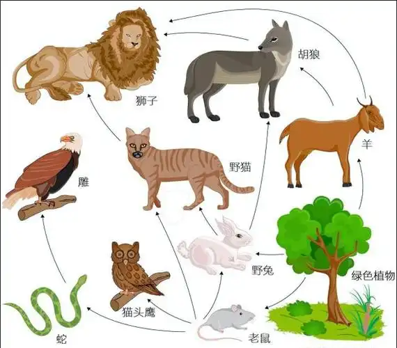不只是人类,骆驼也会"感情用事"?哪些动物该小心了?