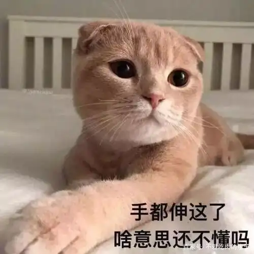 表情包|手都伸这了啥意思你都不懂嘛