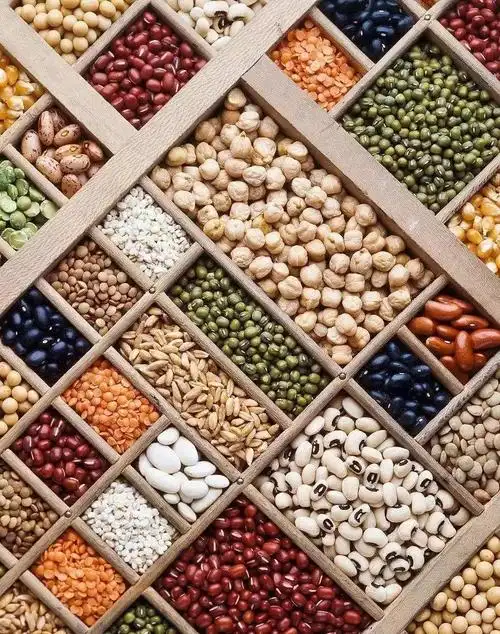 如何让孩子通过种子感受生命的力量