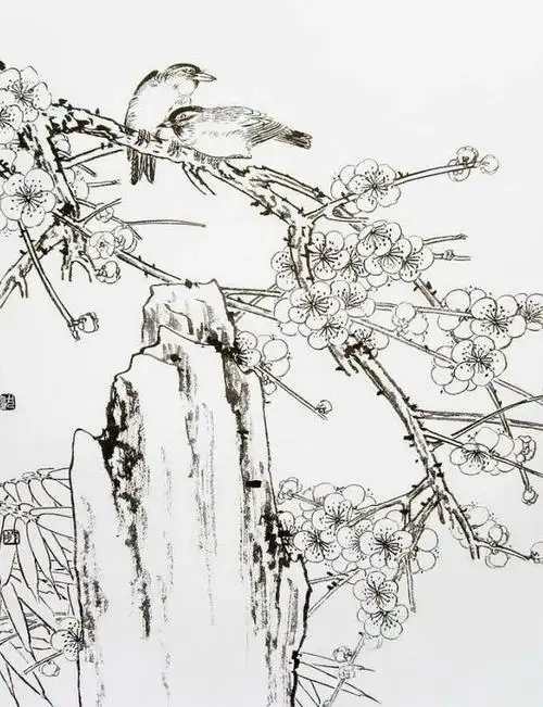 工笔画-梅花之白描勾线稿干货