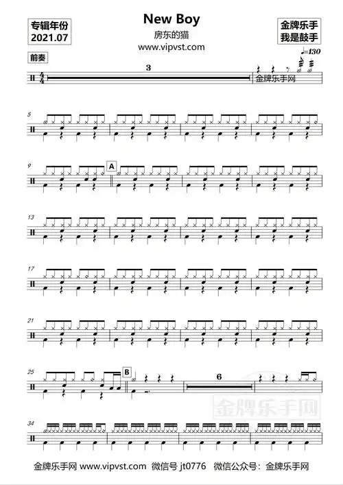 房东的猫 - new boy 鼓谱 (动态) 15元