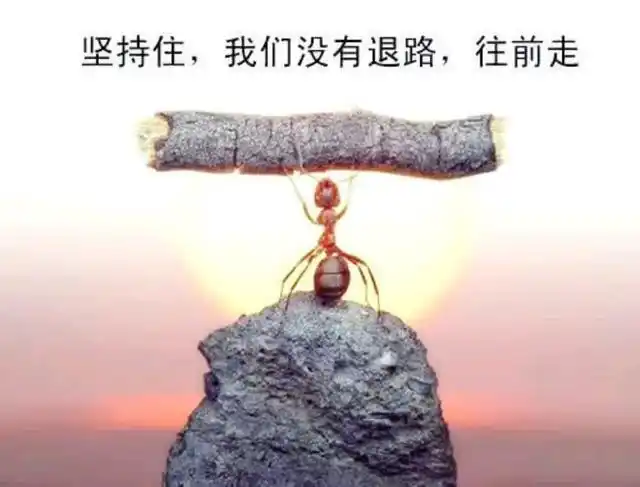 若身处低谷时,请君坚信自己的梦想,它将是你逃离深渊的希望之火