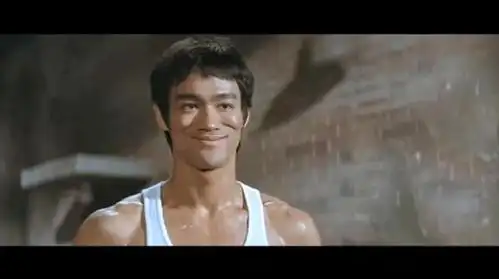 猛龙过江:李小龙执导并主演 笑容迷人 不失诙谐 快准狠 拳脚如电 非