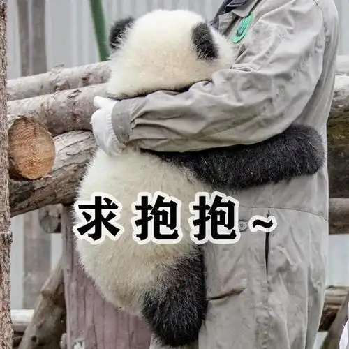 求抱抱!