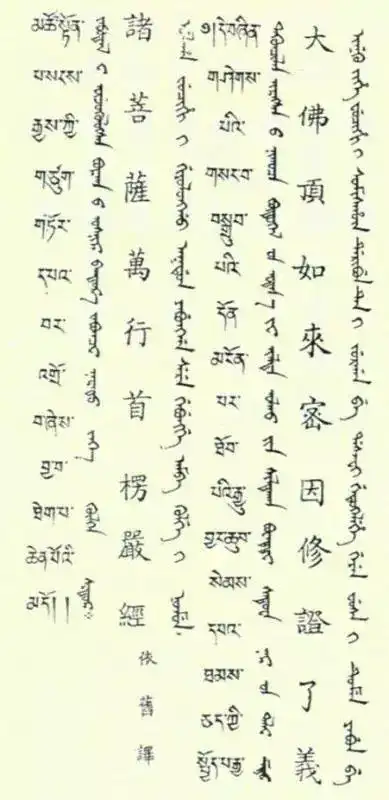 起见,笔者经过初步比对后,确认满文内容当据鸠摩罗什汉译本翻译而来