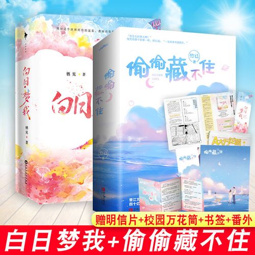 白日梦我/偷偷藏不住 晋江文学城 青春文学校园言情小说 新增番外