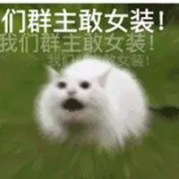 要求群主女装的表情包_微信头像图片大全