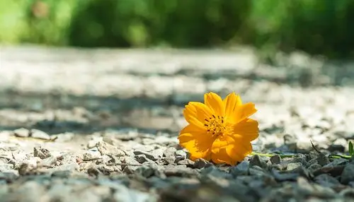 夏日里的安静角落