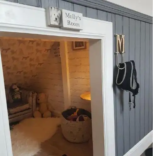 为狗子打造豪华小屋,装潢精美家具齐全,狗:直接拎狗粮入住!