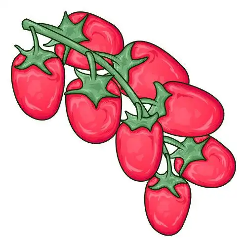 卡通番茄手绘可爱矢量插画