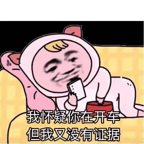 嘉我怀疑你在开车但我又没有证据开车证据怀疑没有表情
