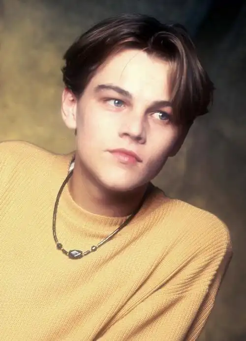 年轻时的小李子真的惊艳了时光,简直是能统一全球审美的男人