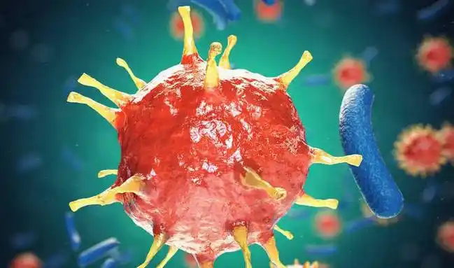 全球最危险的十大传染性病毒(历史上最可怕的十种病毒) - 吾酷网