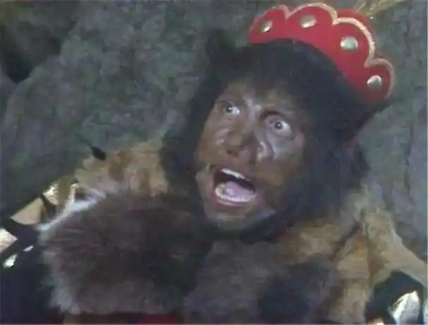 你知道藏在锦澜袈裟背后的秘密吗