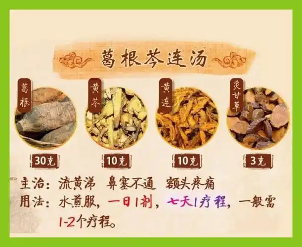 葛根芩连汤治疗口臭