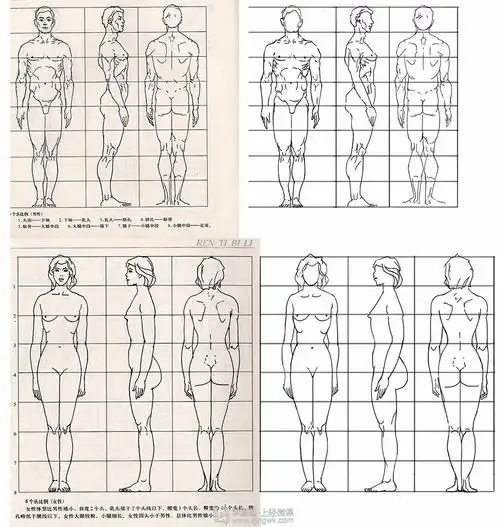 古风插画之人体比例