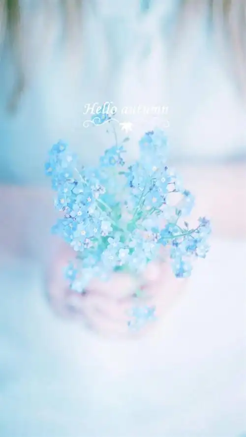 简约小清新文字控,高清图片,手机锁屏桌面-壁纸族