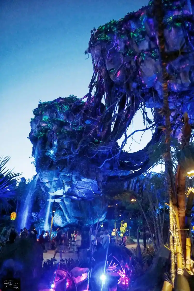 奥兰多迪士尼阿凡达主题公园悬浮山