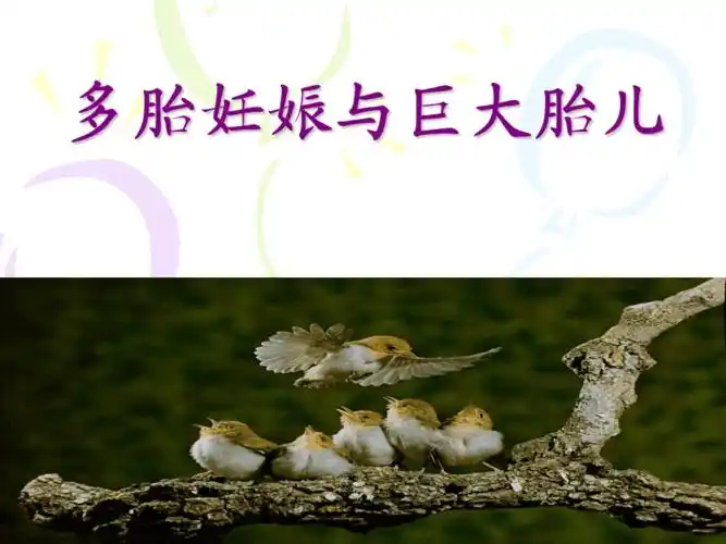 多胎妊娠与巨大胎儿教学课件