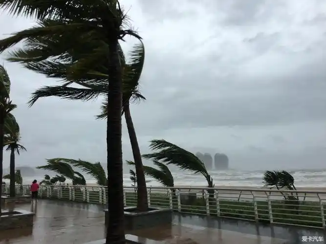 发几张三亚的台风照片